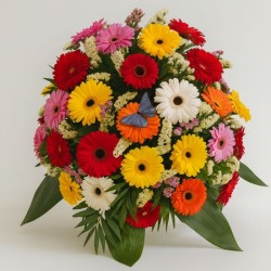 Centro Gerberas Alegria