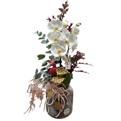 Orquidea Phalenopsis navidad.