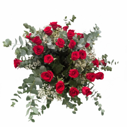 Ramo 24 Rosas Rojas Extras