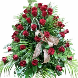 Centro 50 Rosas Rojas