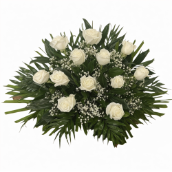 Centro 12 Rosas Blancas.