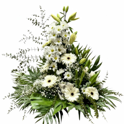 Centro Floral Pureza