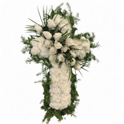 Cruz  blanca