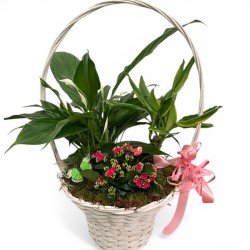 Cesta Universo Floral