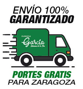 envío de flores en zaragoza